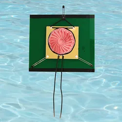 blitovot.co.il בלי טובות - מכשירים לסיבון הגב קפיצי 5-  -320שח